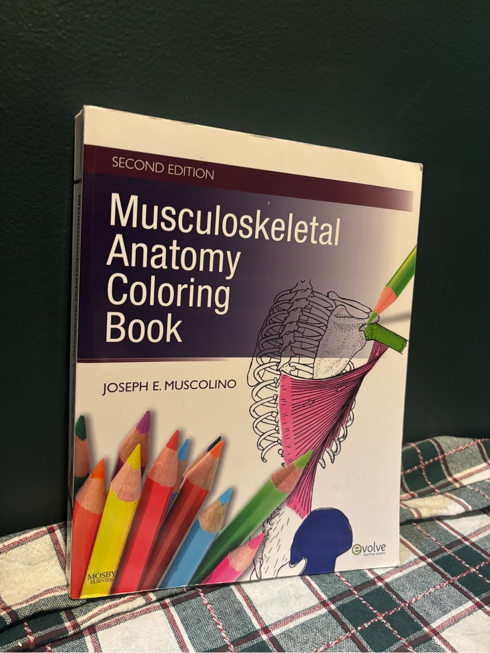 Musculoskeletal Anatomy Coloring Book 2nd Edition textbook